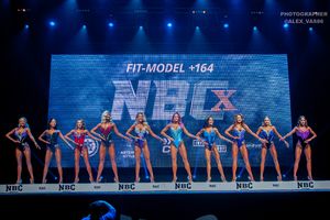 FIT-MODEL +164- 1 раунд